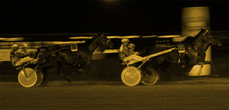 AtTheRaces.jpg