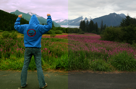 OverTheFireweed-Split.jpg